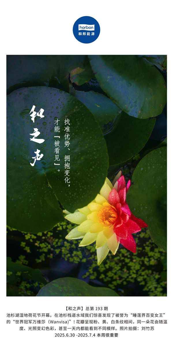 【和之声】找准优势、拥抱转变，，，，，，才华“被望见”。。。。(总第193期）--2025.6中文导出季度推送用.jpg