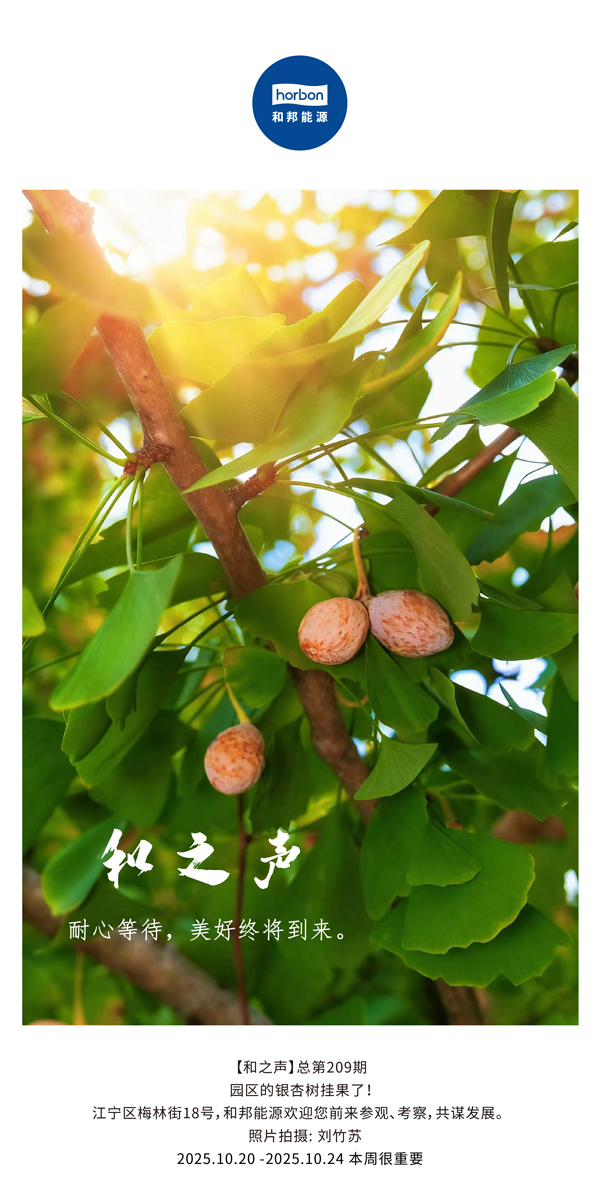 【和之声】耐心期待，，，优美终将到来。。-(总第209期）2025.10.20中文导出季度推送用.jpg
