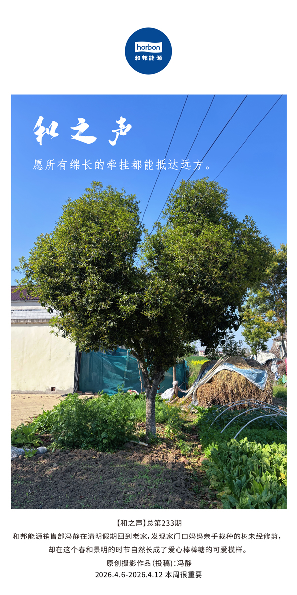【和之声】愿所有绵长的悬念都能抵达远方。。(总第233期）-2026.4.6中文导出季度推送用.jpg